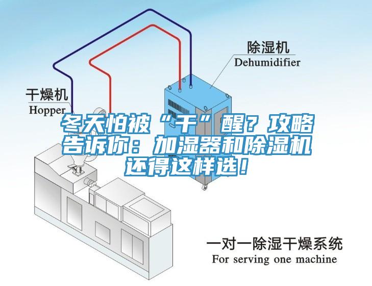 冬天怕被“干”醒？攻略告訴你：加濕器和除濕機還得這樣選！