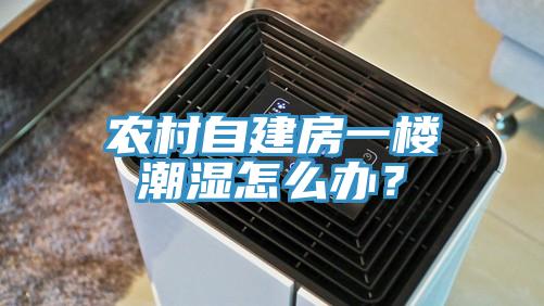 農村自建房一樓潮濕怎么辦？