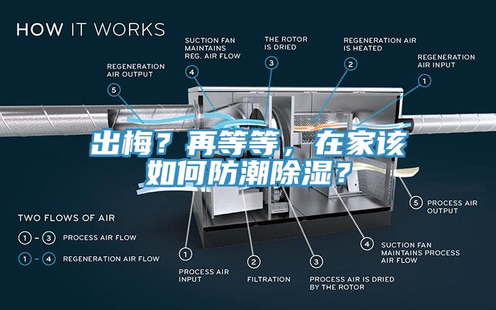 出梅？再等等，在家該如何防潮除濕？