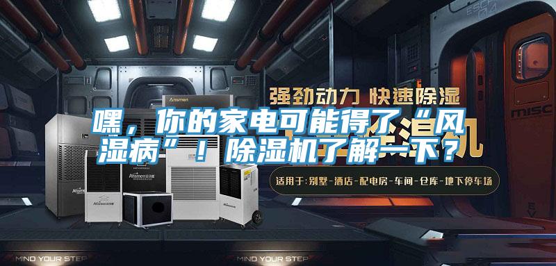 嘿，你的家電可能得了“風(fēng)濕病”！除濕機(jī)了解一下？